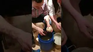 Pokaz robienia oscypka