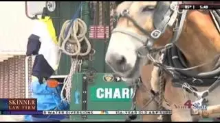 Vet Tours Country on Mule Drawn Wagon