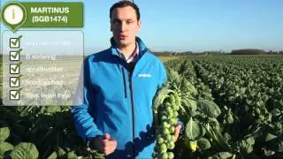 Spruitkool nieuws 2016