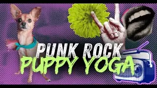 Punk Rock Yoga: Emotional Support Dog Included