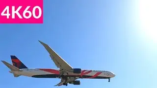 LAX Plane Spotting | Arrivals with Some Special Liveries | 03-18-2022