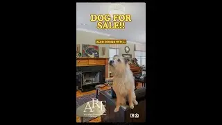 A Dog Approved Home for Sale!