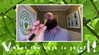 Funky Mustache Brush/Comb - Green Beard Forest Therapy   6 -03-2020
