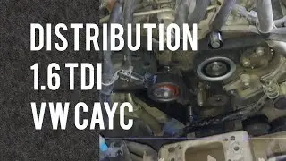 1.6 TDI timing belt replacement : changement kit distribution Zahnriemenwechsel