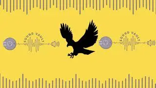 Bald Eagle Noises│DISTANT EAGLE CALLS│AUTHENTIC│