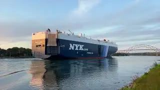 Metis Leader - Vehicle Carrier