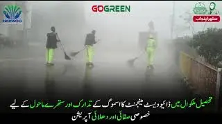 Smog Prevention & Special Cleaning Operation | Tehsil Malakwal | Daewoo Waste Management Division