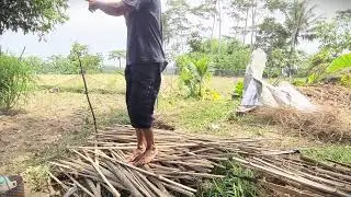 Strong Hands Splitting Green Bamboo #RuralAgriculture #TraditionalFarming