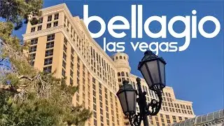 Bellagio Las Vegas + Spa Tower Room Tour | Blue Whale Travels