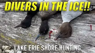 Breaking ICE To Shore Hunt DIVERS | Lake Erie Diver Duck Hunting