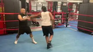 CORNERMAN WORKOUT SYSTEM: Cornerman Reboot Continues