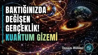 Вселенная — это всего лишь вероятность? Квантовые основы реальности.