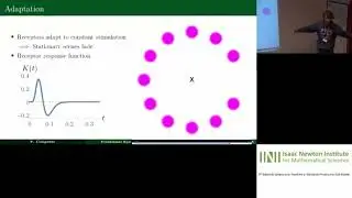 Mr. Fabian Coupette | Physics of Fixational Eye Movements