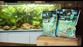 JBL AquaBasis Plus Langzeit N&auml;hrboden f&uuml;r perfekten Wuchs von Pflanzen im Aquarium