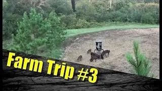 Hog Hunting 2017 - Hog Hunting, 3D Target Fun, & Tractor Work