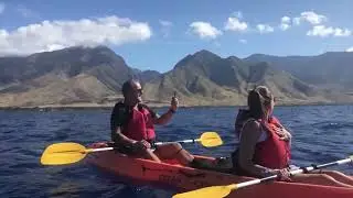 Kayaking Close Encounter with Humpback Whales