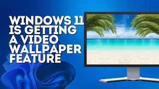 Windows 11 is Getting A Video Wallpaper Feature
