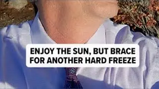 More freezes ahead for Southeast Texas