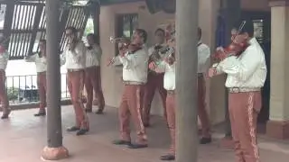 F&J Mariachi Band Epcot