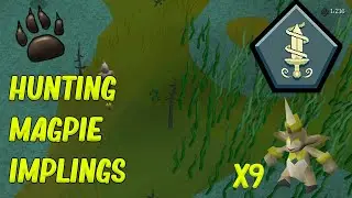 [OSRS] - Trailblazers League #2 - HUNTING FOR IMPLINGS!