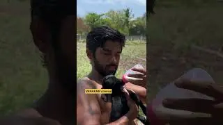 #dhurvvikram #bison #tamilmovie #mariselvaraj #trendingvideo #youtubetrendingshorts #viralshortvideo