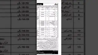 Pakistan Baitulmal Ehsaas Program Jobs 2021