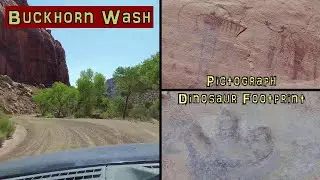 🏞️ Buckhorn Wash Drive - Petroglyphs Dinosaur Footprint and More - San Rafael Swell Utah