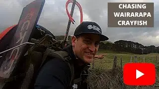 Wairarapa Diving chasing Crayfish