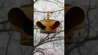 Darley D-132 4-Way Beacon - Maple Rapids, MI (shorts version) #trafficlight #foryou #beacon