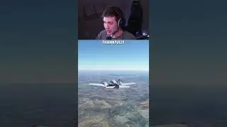 Cobra Found on Plane Mid-Air
