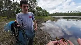 Microfishing at Three Lakes WMA Kenansville Florida June 2024