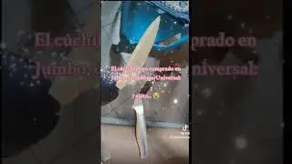 El cuchillo m&aacute;s resistente, seg&uacute;n Universal. Sali&oacute; mejor uno de los que uno compra en el ag&aacute;chese. 🤣
