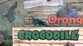 Crocodile Park Manila Tour Boom Na Boom Buendia corner Roxas Boulevard by HourPhilippines.com