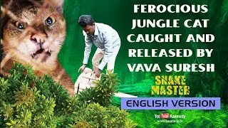 Wow! Ferocious Jungle cat caught and released by Vava Suresh | Snakemaster - English | EP 8