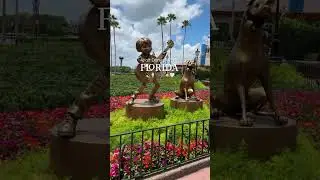 Fl&oacute;rida. #disney #music #encanto #animation #song