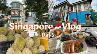 【trip】シンガポール🇸🇬Day5／アートセンター／リトルインディア／チャイナタウンコンプレックス／アラブストリート／モスク／ブギスストリート／ベトナム航空／ビジネスクラス