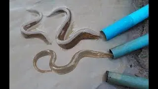 Creativ Boys make eel trap with Water Pipe How to Catch Eels By Using Water Pipe in Villag