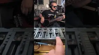 bass tone facts 👉🏻 split your signal