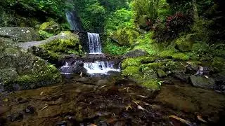 Healing river sounds and white noise for mindfulness and deep sleep