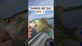 #fishing #fish #bass #bassfishing #crappie #boat #water #car #wall #college #shoutout #iowa #tree