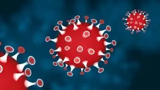Coronavirus - Covid-19: Guidance for Muslims - Imam of Makkah Mosque, Imam Qari Asim