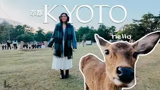 Eat, Shop & Explore Kyoto 京都 | Autumn season, Ramen Finds, Kyoto Sightseeing 🍁🇯🇵