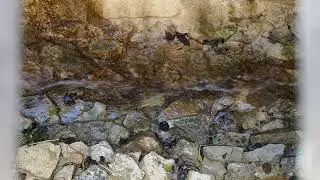 Spillway at Great Linford Manor Park