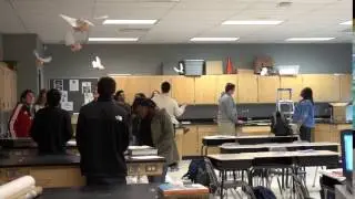 students working the flying pig lab