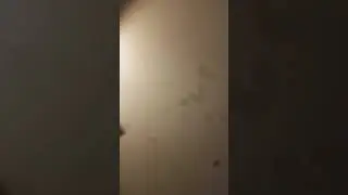 Doing the nunchucko video