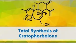 Total Synthesis of Crotophorbolone