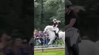 The Horse That Glides Like It's Floating Iceland's T&ouml;lt