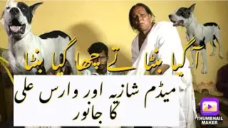 Madam Shazia full Interview #shazia #subscribe #pakistanibully #dog #bully #viral #beautiful