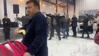 Davul sow
