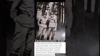 Xizmatdoshlarni izlab